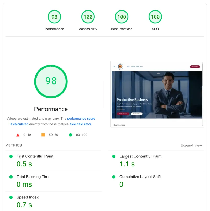 Google PageSpeed Insights Report