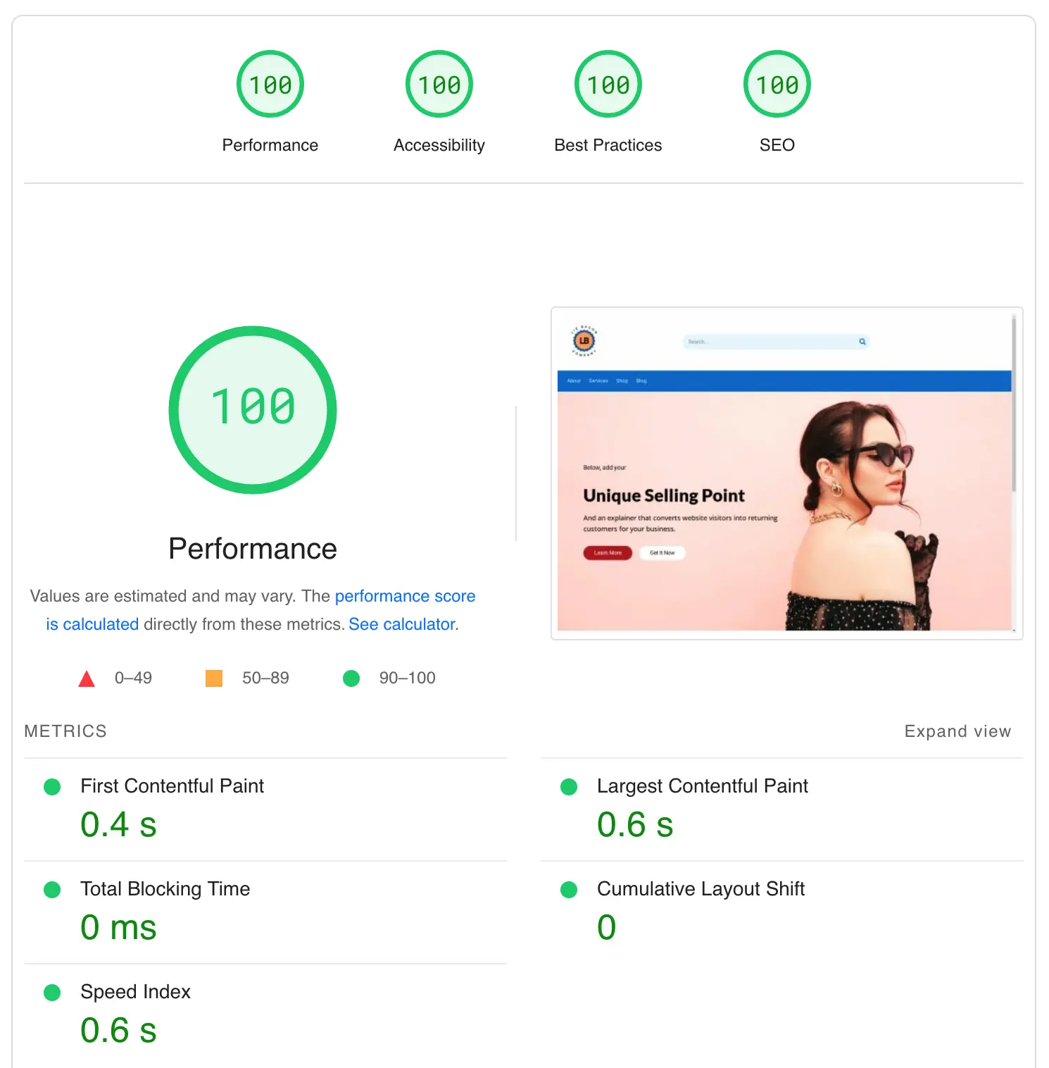 Google PageSpeed Insights Report