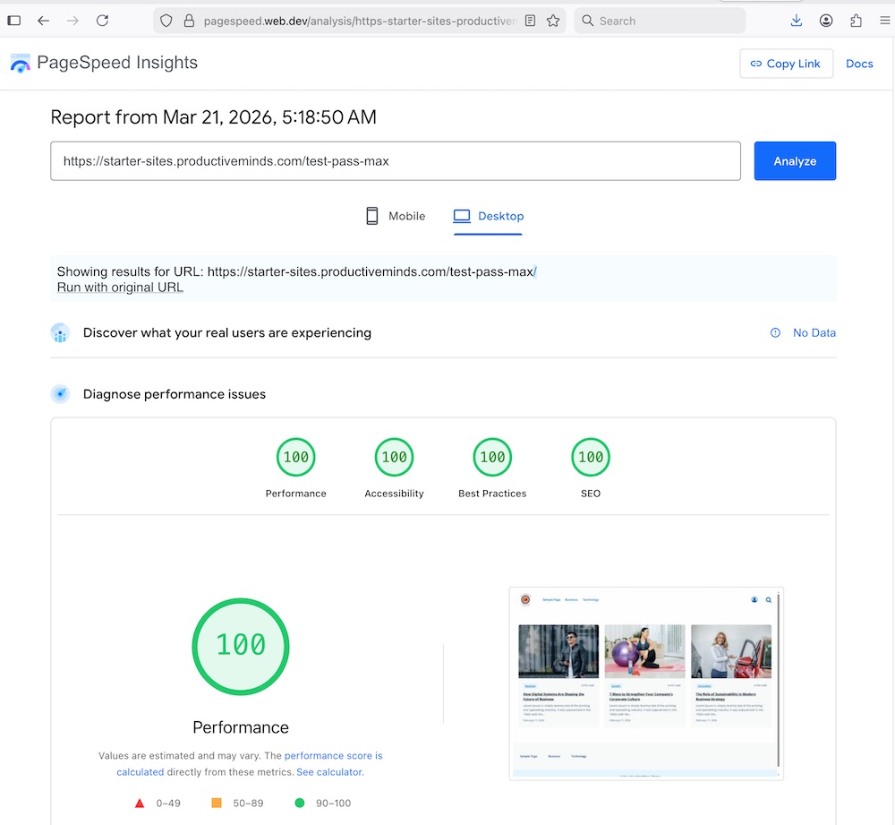 Desktop Performance (100%)