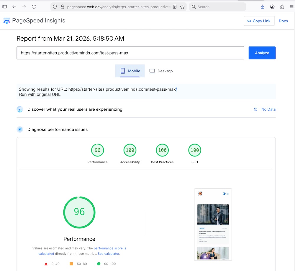 Mobile Performance (96%)